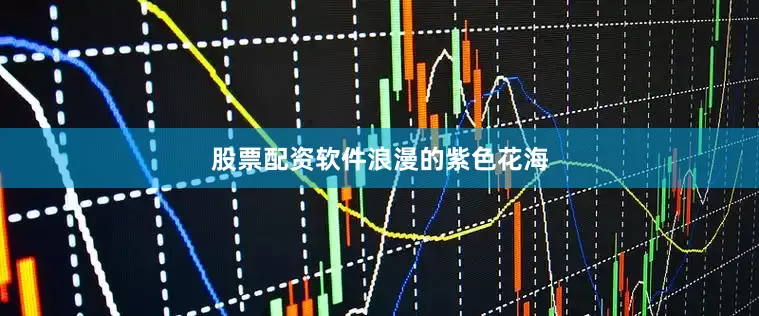 股票配资软件浪漫的紫色花海